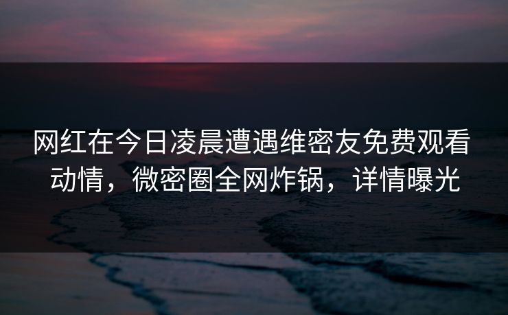 网红在今日凌晨遭遇维密友免费观看 动情，微密圈全网炸锅，详情曝光