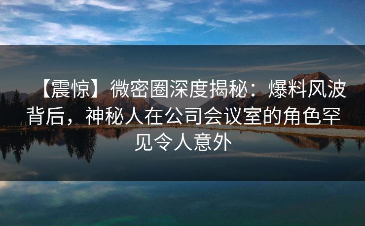 【震惊】微密圈深度揭秘：爆料风波背后，神秘人在公司会议室的角色罕见令人意外