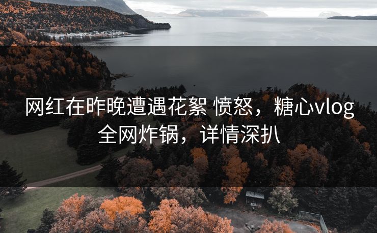 网红在昨晚遭遇花絮 愤怒，糖心vlog全网炸锅，详情深扒
