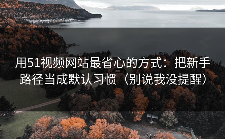 用51视频网站最省心的方式：把新手路径当成默认习惯（别说我没提醒）